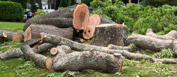 Best Firewood Processing and Delivery  in Osceola, IN